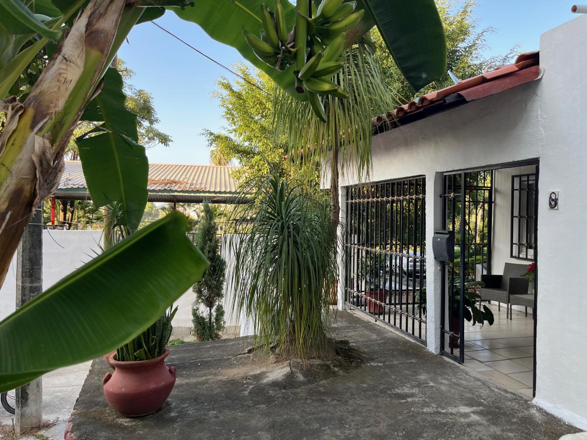 Villa Palmier -Quiet Cosy Air Conditioned Terrace Puerto Vallarta Zewnętrze zdjęcie